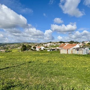 IMG_0894