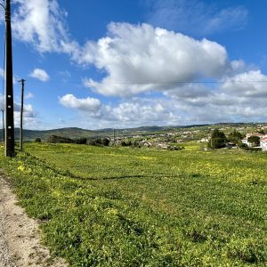 IMG_0896