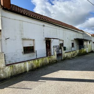 IMG_0903