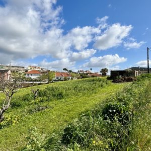 IMG_0907