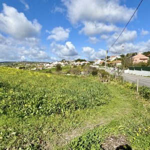IMG_0910
